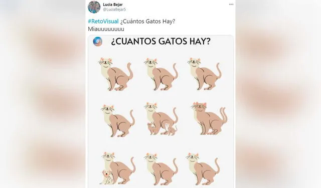 Desliza las imágenes para ver la solución de este reto visual que ha causado todo tipo de reacciones en redes sociales. Foto: captura de Twitter/ Lucía Bejar