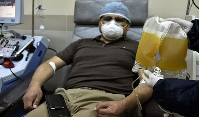 Antes de realizar la transfusión de plasma, el donante debe cumplir ciertos requisitos para no poner en riesgo la salud de la persona receptora. (Foto: AFP)