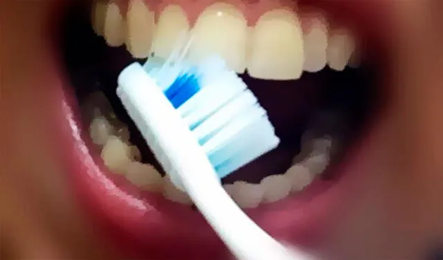 Cuidados como el cepillado de los dientes harán que estos duren más tiempo. Foto: CNBC