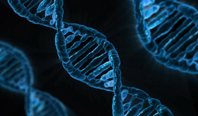 Científicos hallaron fragmentos del genoma del coronavirus en el ADN humano. Imagen: University of Washington