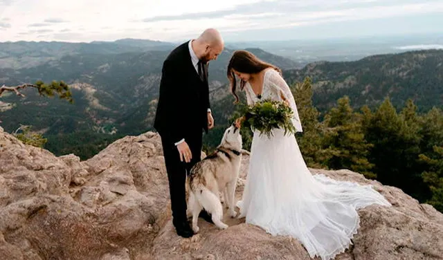Facebook viral: perritos aparecen en plena sesión de fotos de una pareja e interrumpen su boda