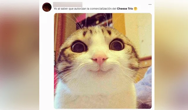 El regreso de Cheese Tris al mercado peruano desató una ola de divertidos memes que han sacado miles de sonrisas en redes. Foto: captura de Facebook
