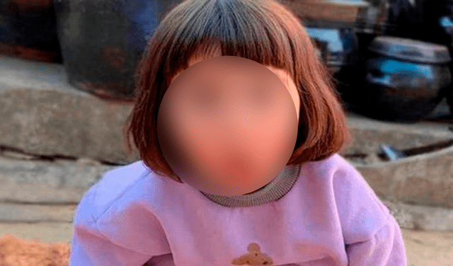Madre de niña coreana pide a cibernautas no utilizar las fotos de su hija para hacer memes