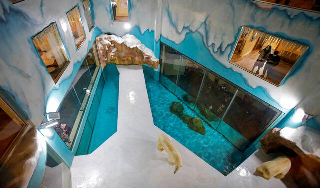 Hotel de osos polares. Foto: difusión