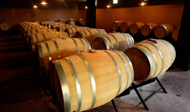 Los vinos tinto reserva deben pasar un mínimo de 12 meses en barricas. Foto: EFE