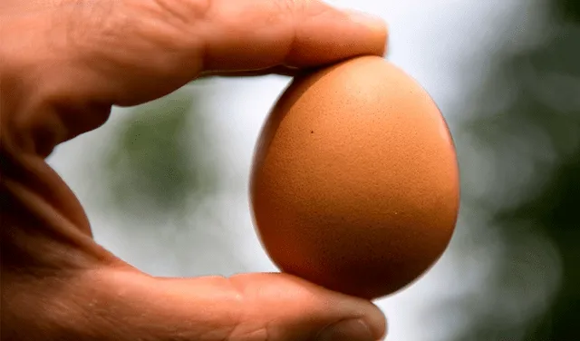 La yema de huevo es un truco efectivo para eliminar las manchas de café. Foto: AFP