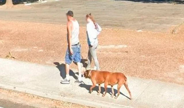 Google Maps: ¿Será real? Cámara capta un perro con ‘seis patas’ y genera confusión en los usuarios