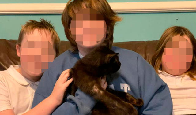 Facebook viral: mujer se reencuentra con su gato después de meses al escuchar su maullido en una llamada