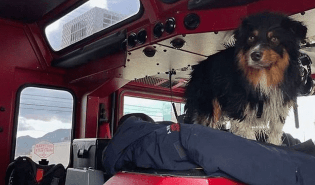 Seamus en un camión de bomberos