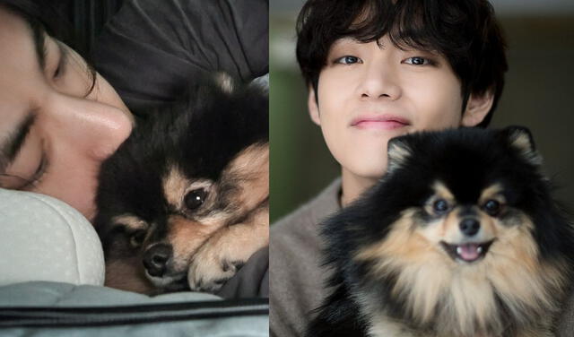 BTS, Yeontan, Tannie, Taehyung