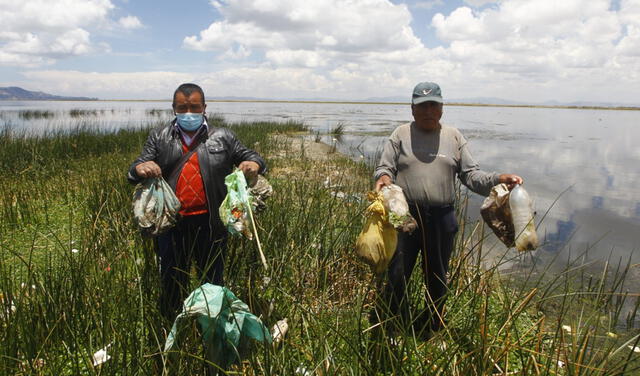 Inventario fue realizado por la Autoridad Binacional del Lago Titicaca. Foto: Juan Carlos Cisneros/La República