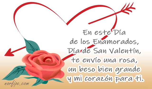 ¡Feliz San Valentín!: 365 frases de amor para todo un año - Te quiero mi  amor (san valentin libro - regalo) (Spanish Edition)
