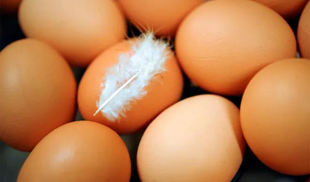 El huevo es considerado sinónimo de vida y desarrollo en varias culturas. Foto: AFP