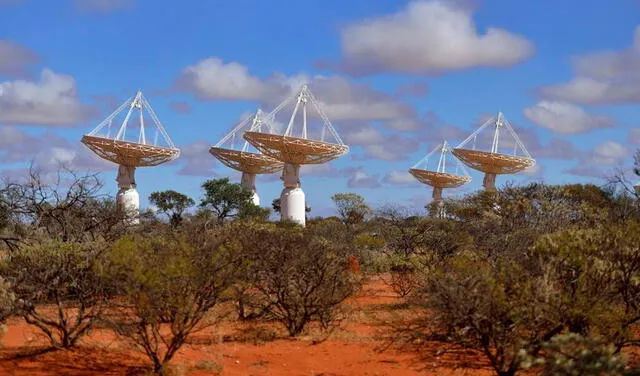 Las antenas de ASKAP funcionan como un solo radiotelescopio. Foto: CSIRO