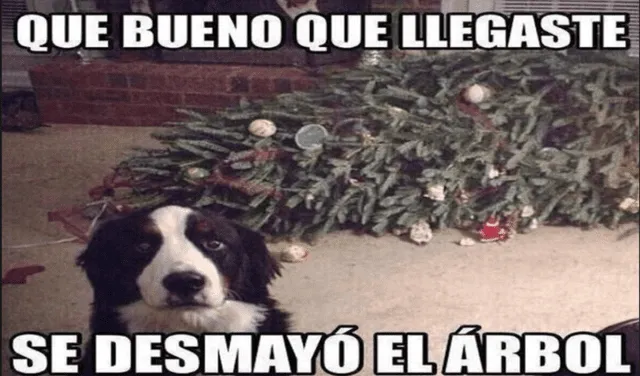 Memes de navidad. Foto: difusión.