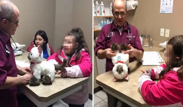 Niña lleva a su gato de peluche a la veterinaria y médico lo ‘atiende’ como a un paciente