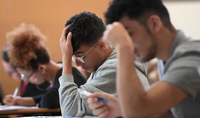 Carreras que puedes estudiar en Perú. Foto: AFP