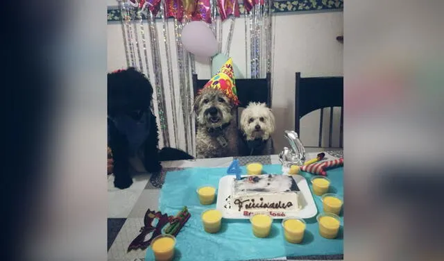 Facebook viral: celebran el cumpleaños de su perro con colorida fiesta y hasta ‘invitados’