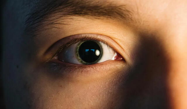 Pupilas de un ser humano dilatadas. Foto: Focal Pointe Eye Care.