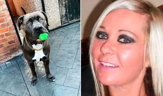 Mujer muere víctima de mordeduras que le propinó su perro dentro de su casa
