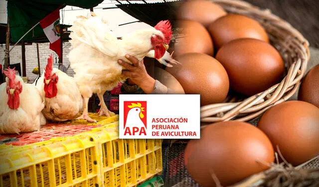 Asociación Peruana de Avicultura