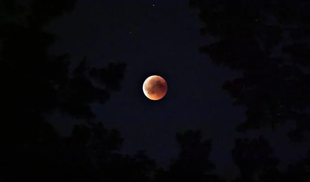 El eclipse lunar del 8 de noviembre de 2022 será uno de tipo total. Se verá como una luna de sangre desde América, Oceanía, las islas del Pacífico y partes de Asia. Foto: Pexels