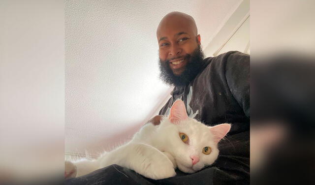 Facebook viral: músico deja su carrera para dedicar su tiempo a rescatar gatos abandonados