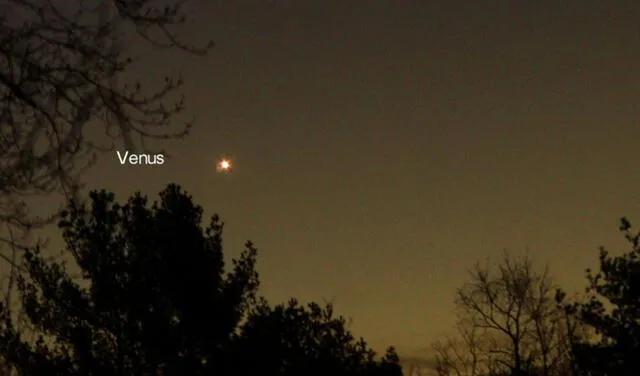 Venus captado antes del amanecer en Massachusetts, EE. UU. Foto: Dennis Chabot