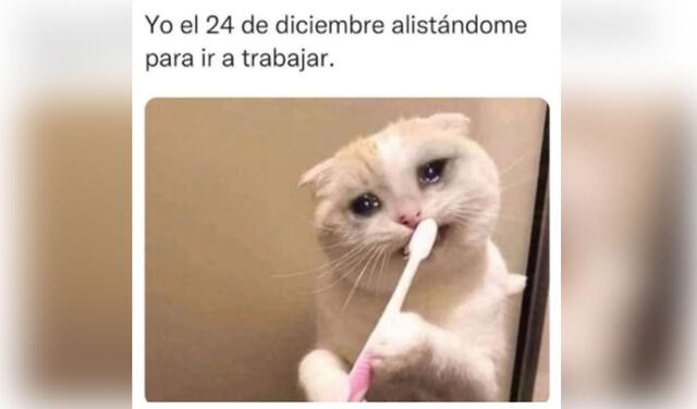 Foto: captura de Twitter