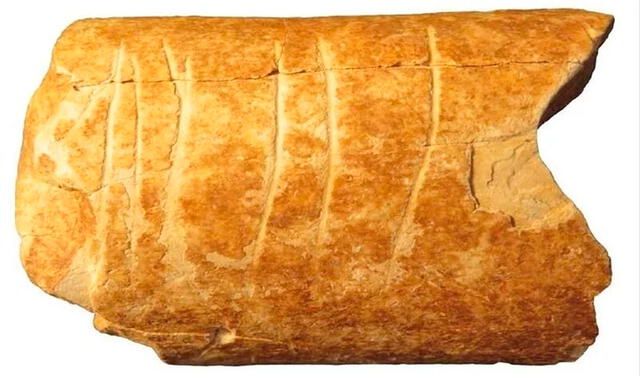 Descubren en un hueso de hace 120.000 años el primer símbolo de la historia