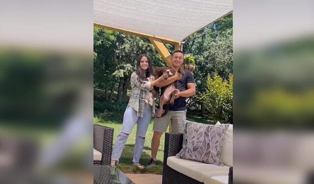 Facebook viral: pareja trata de tomarse una foto familiar con su perro y gato, pero estos terminan peleando