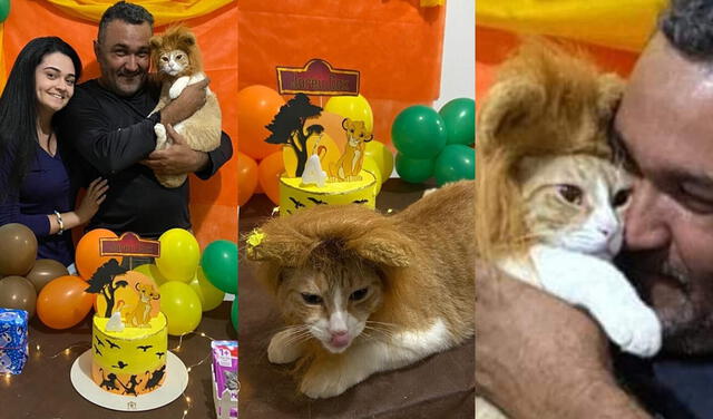 Hombre que se negaba a tener un gato, cierra temprano su tienda para celebrarle su cumpleaños
