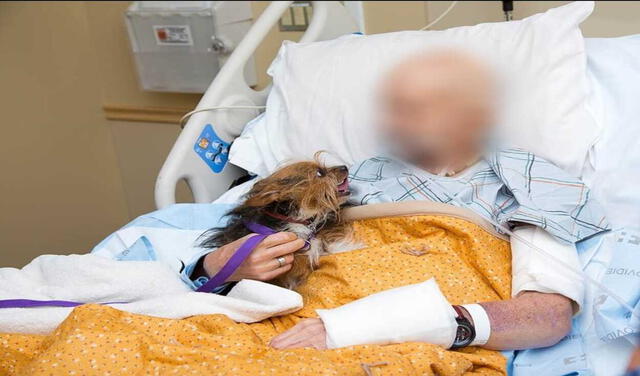 Veterano pide ver a su perrito por última vez y este se despide de él con tiernas lamidas. Foto: Albuquerque Animal Welfare