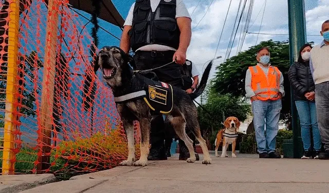 Bryan Coco en un simulacro de rescate. Foto: municipalidad de Surco