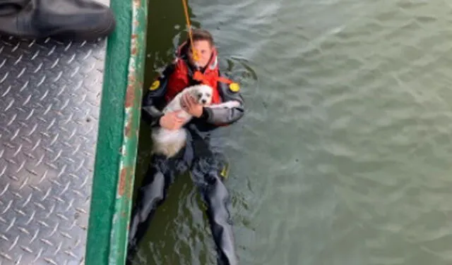 Salvan a hombre que saltó al agua para rescatar a su perrito y no podía volver a la orilla