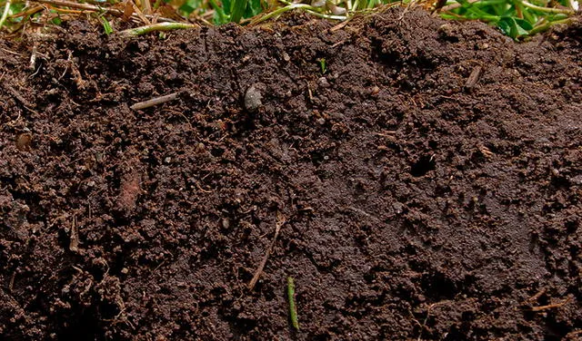 La tierra aporta determinación, paciencia y pragmatismo a Capricornio. Foto: USDA