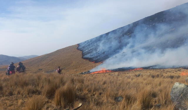 Incendio forestal deja sin vida a una persona en Apurímac. Foto: municipalidad Coyllurqui