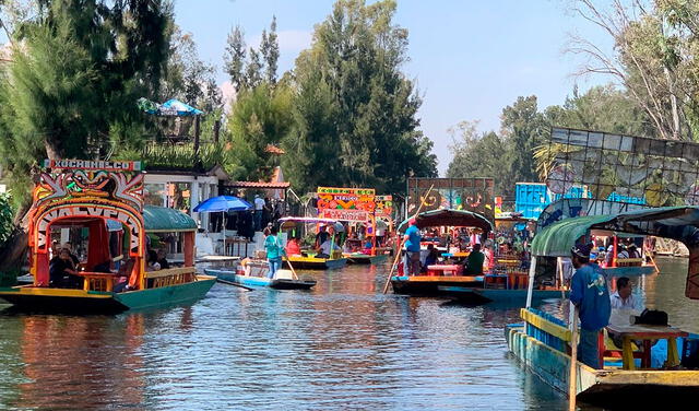 Los canales de Xochimilco son uno de los mayores atractivos de la Ciudad de México. Foto: TripAdvisor