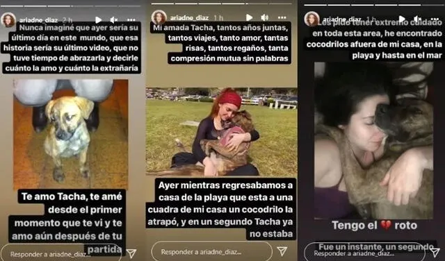 30.12.2021 | Publicación de Ariadne Díaz sobre la muerte de su mascota. Foto: captura Ariadne Díaz/Instagram