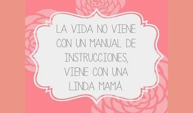 Imágenes y frases para el Día de la Madre. Foto: difusión