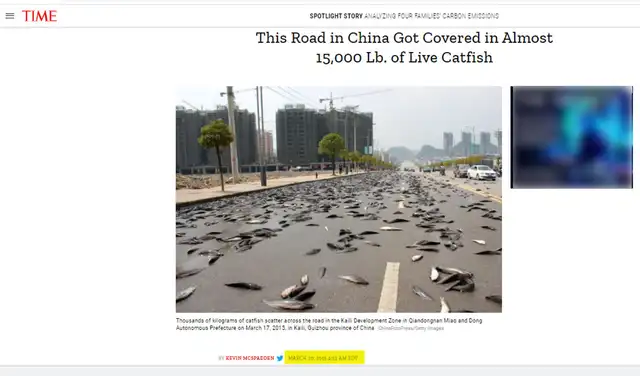 Imagen. Foto: captura en Times.