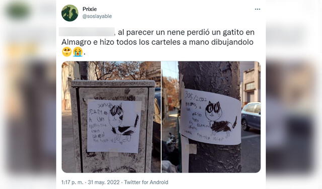 Twitter viral: niño hace carteles a mano y los pega en la calle para encontrar a su gato desaparecido