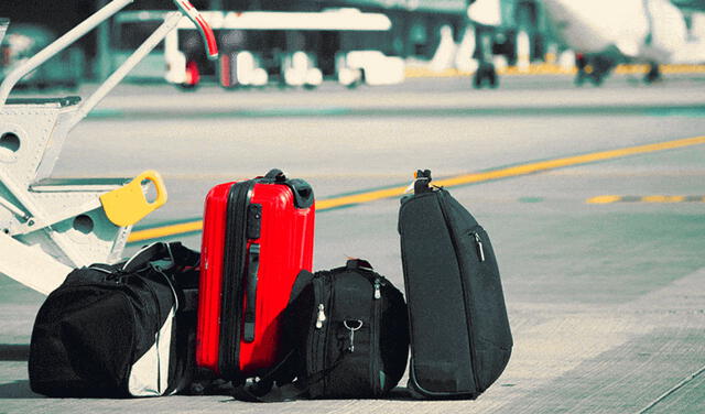 ¿Qué debo hacer si la aerolínea donde viajé perdió o dañó mi equipaje?