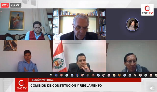 Comisión de Constitución en sesión virtual.