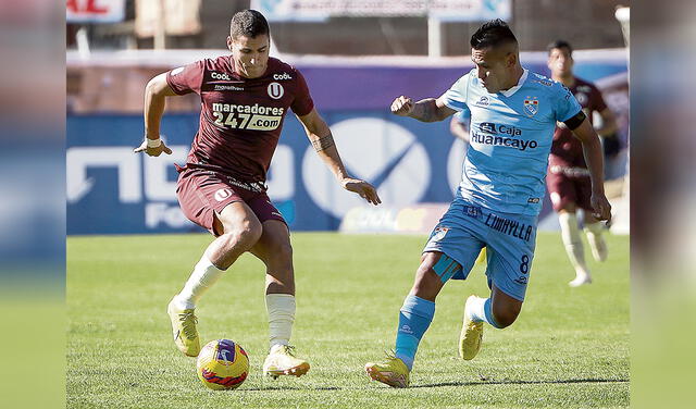 Alexander Succar, Universitario