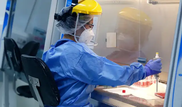 ins coronavirus variante brasileña