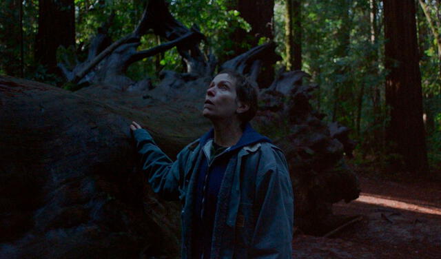 Frances McDormand interpreta a Fern, protagonista de Nomadland. Foto: Searchlight Pictures