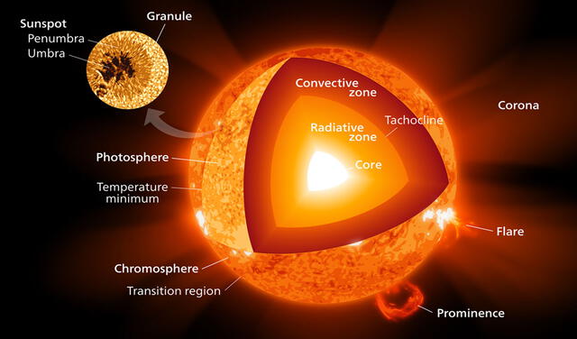 La tacoclina (tachocline) se ubica entre la zona convectiva y radiativa del interior del Sol. Imagen: Wikimedia Commons/ Kelvinsong