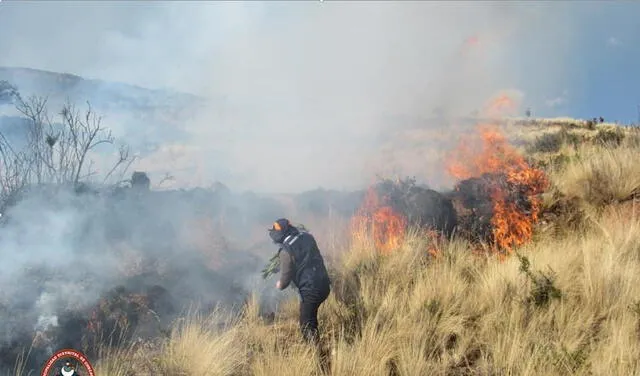 Cuarto incendio forestal ocurrido en el mes causa zozobra en Cusco