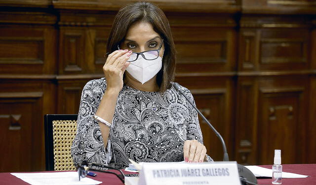 Patricia Juárez, Comisión de Constitución
